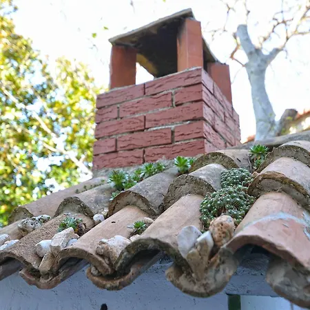 Holiday Stonehouse